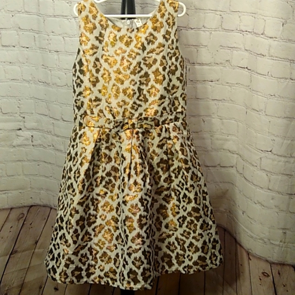 Cherokee Dress